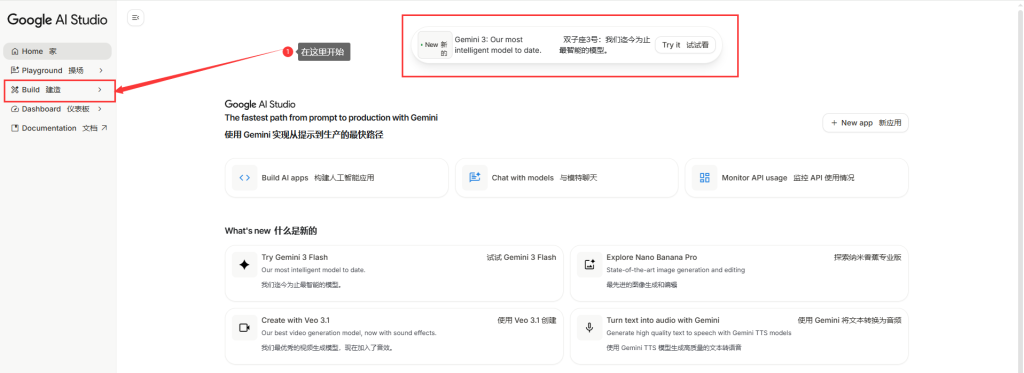Google AI studio页面