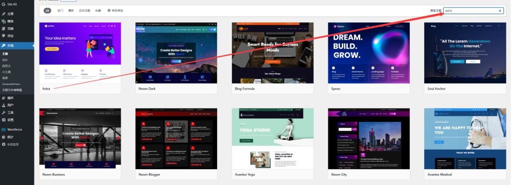 Astra主题安装界面